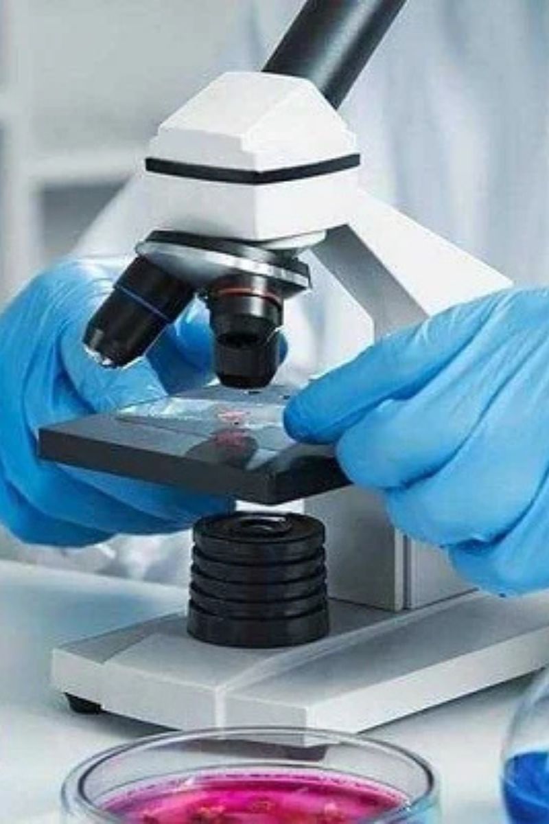 untitled design (19)